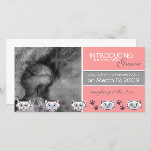 新しいペットの養子縁組のお知らせ 案内状 (正面/裏面)