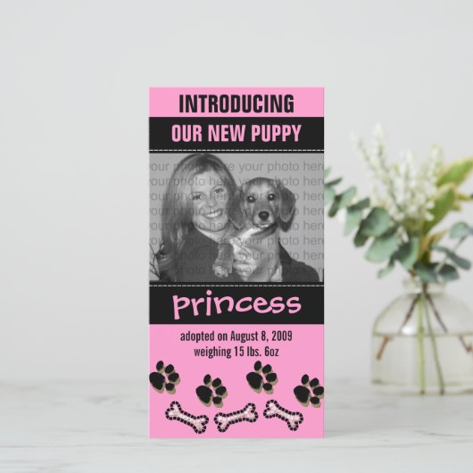 新しいペットの養子縁組のお知らせ 案内状 (スタンド正面)