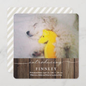 新しいペットを紹介 |ベビー発表 案内状 (正面/裏面)