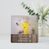 新しいペットを紹介 |ベビー発表 案内状 (スタンド正面)