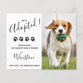 新しいペットを迎え入れたのでお知らせします！うちに新しい家族が増えました！子犬を迎えました！