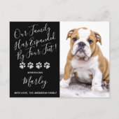 新しいペットファミリーによって拡張された4足子犬 案内ポストカード (正面)