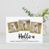 新しいペットフォトコラージハローパピードッグ 案内状 (スタンド正面)