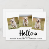 新しいペットフォトコラージハローパピードッグ 案内状 (正面/裏面)