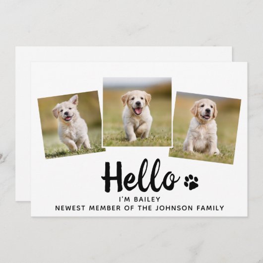 新しいペットフォトコラージハローパピードッグ 案内状 (正面/裏面)
