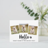 新しいペットフォトハローパピードッグシャワー招待状 案内ポストカード (スタンド正面)