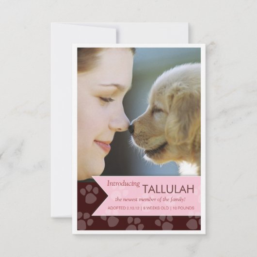 新しいペットブラウンのピンクの旗の写真の発表 案内状 (正面)