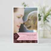 新しいペットブラウンのピンクの旗の写真の発表 案内状 (スタンド正面)