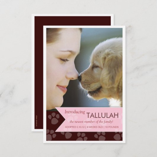 新しいペットブラウンのピンクの旗の写真の発表 案内状 (正面/裏面)