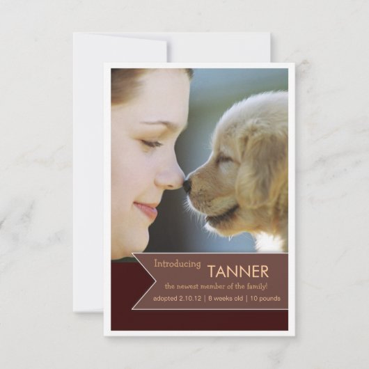 新しいペットブラウンの旗の写真の発表 案内状 (正面)