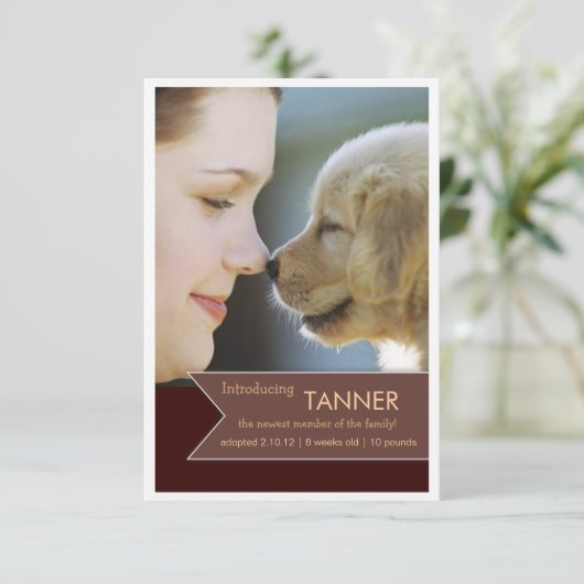 新しいペットブラウンの旗の写真の発表 案内状 (スタンド正面)