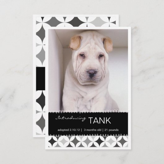 新しいペットレトロはB&Wの写真の発表を一周します 案内状 (正面/裏面)