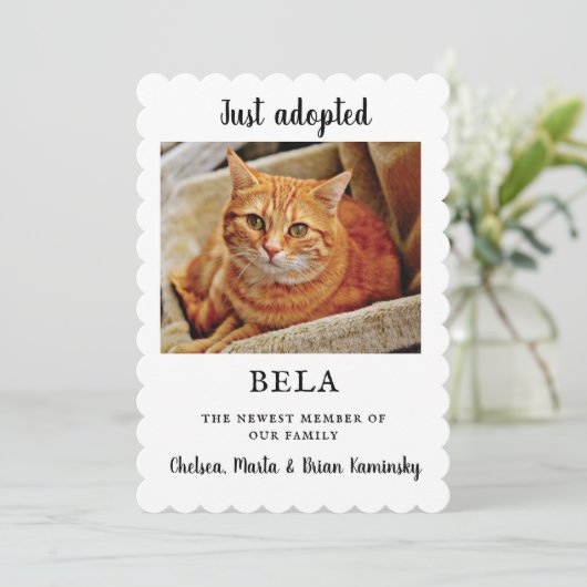 新しいペット写真の採用の発表の平らなカード カード (スタンド正面)