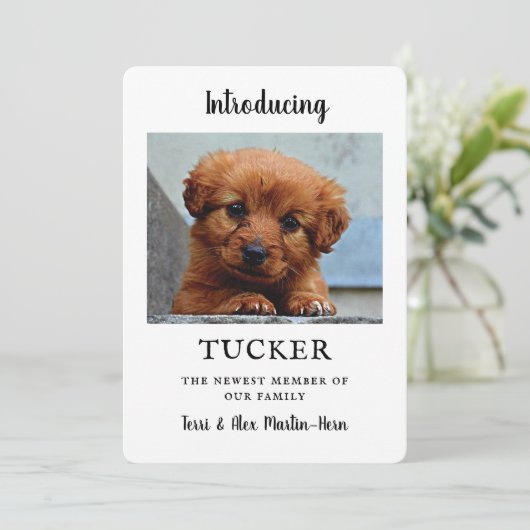 新しいペット写真の発表の平らなカード カード (スタンド正面)