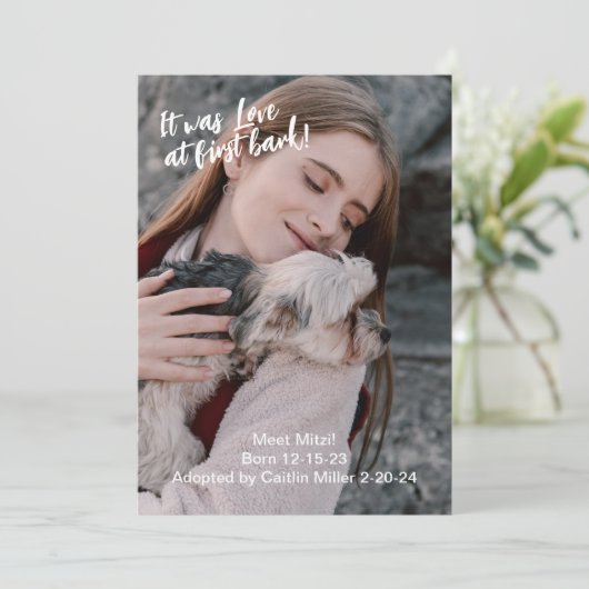 新しいペット写真 案内状 (スタンド正面)