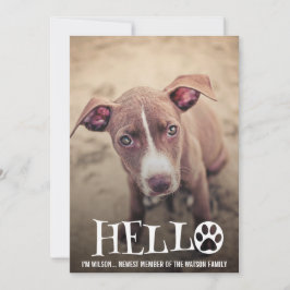 新しいペット採用の発表の写真の招待 招待状