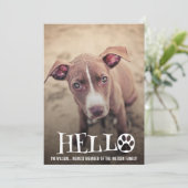 新しいペット採用の発表の写真の招待 招待状 (スタンド正面)