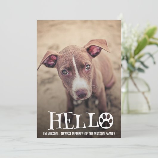 新しいペット採用の発表の写真の招待 招待状 (スタンド正面)