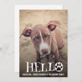 新しいペット採用の発表の写真の招待 招待状 (正面/裏面)