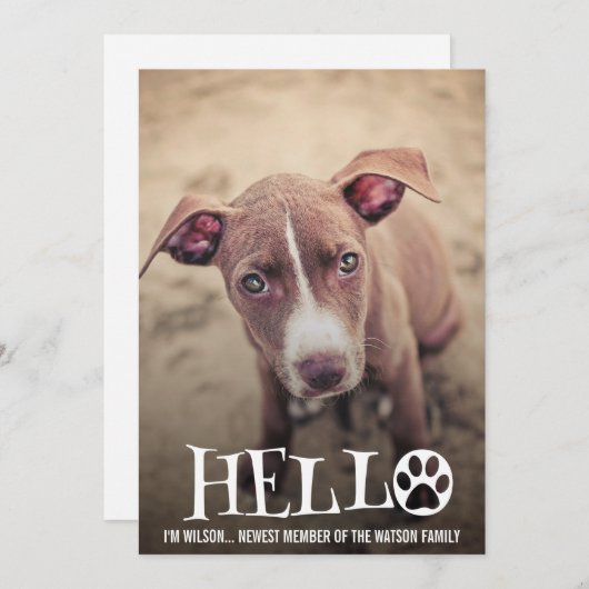 新しいペット採用の発表の写真の招待 招待状 (正面/裏面)