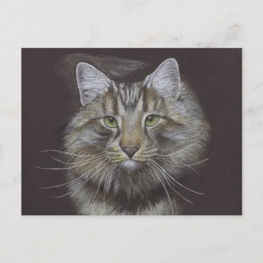 新しいペット発表葉書 ポストカード (正面)