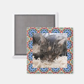 新しいペット赤と青のクリスマススターの正方形フレーム マグネット (正面/裏面)