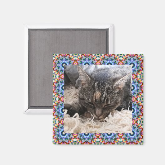 新しいペット赤と青のクリスマススターの正方形フレーム マグネット (正面/裏面)