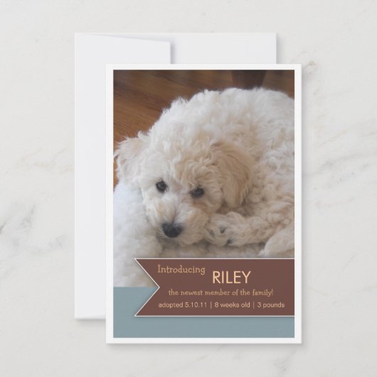 新しいペット2写真のブラウンの旗の写真の発表 案内状 (正面)