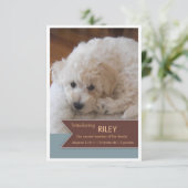 新しいペット2写真のブラウンの旗の写真の発表 案内状 (スタンド正面)