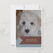 新しいペット2写真のブラウンの旗の写真の発表 案内状 (裏面)