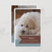 新しいペット2写真のブラウンの旗の写真の発表 案内状 (正面/裏面)