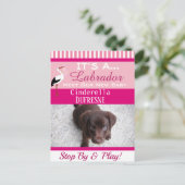 「新しいペット」のアナウンス ポストカード (スタンド正面)