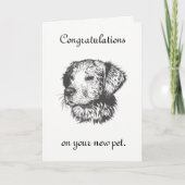 新しいペット カード (正面)