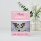 「新しいペット」最新メンバーの発表を待つ ポストカード (スタンド正面)