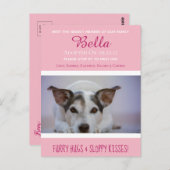 「新しいペット」最新メンバーの発表を待つ ポストカード (正面/裏面)