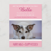 「新しいペット」最新メンバーの発表を待つ ポストカード (正面)