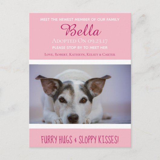 「新しいペット」最新メンバーの発表を待つ ポストカード (正面)