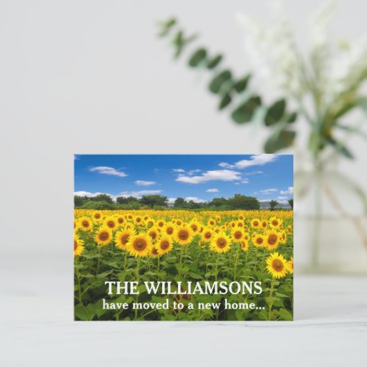 新しいホームアドレス変更の美しいひまわり写真 ポストカード (スタンド正面)