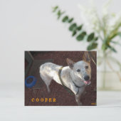 新しいホームクーパーへようこそ 案内ポストカード (スタンド正面)