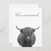 新しいホームムービングアナウンスハイランドカウズ 案内ポストカード (正面/裏面)