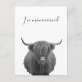 新しいホームムービングアナウンスハイランドカウズ 案内ポストカード (正面)