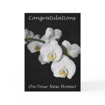 新しいホームランおめでとう！