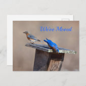 新しいホーム発表 案内ポストカード (正面/裏面)