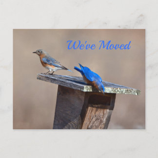 新しいホーム発表 案内ポストカード