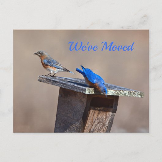 新しいホーム発表 案内ポストカード (正面)