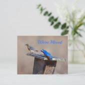 新しいホーム発表 案内ポストカード (スタンド正面)