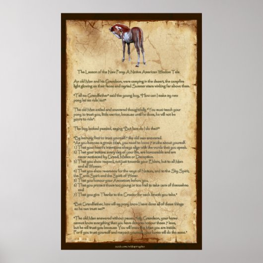 新しいポニーのレッスン：先住民アメリカンウィズポスター ポスター (正面)