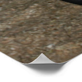 新しいポニー/ホース ポスター (角)