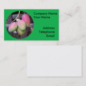 新しいマンゴおよびトロピカル・フルーツ 名刺 (正面/裏面)