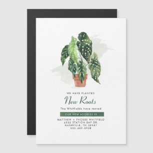 新しいルーツでのアドレスの変更に関するお知らせ